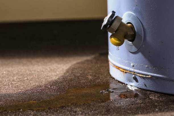 Trusted Newman, CA Water damage restoration Experts