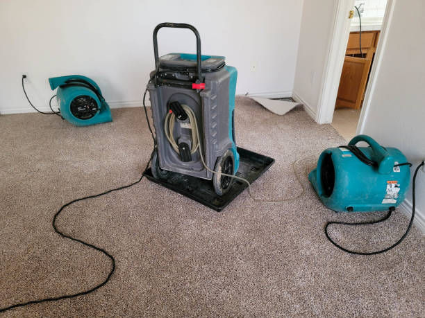 Best Basement water damage restoration  in Newman, CA