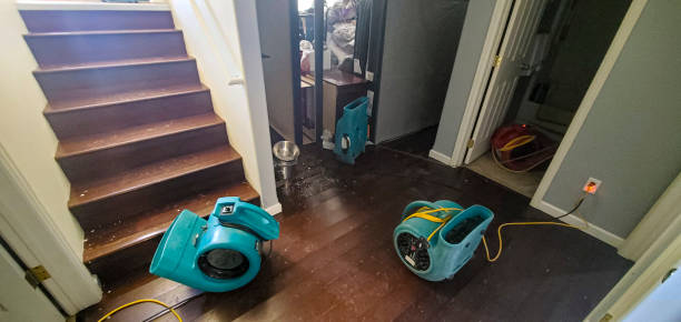 Best Water damage restoration services  in Newman, CA