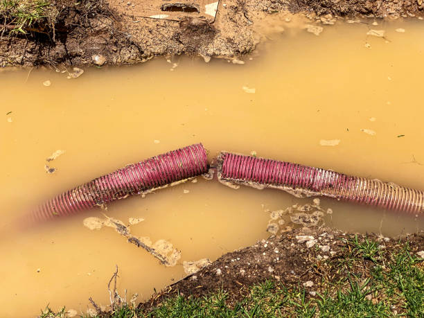 Best Water damage restoration near me  in Newman, CA