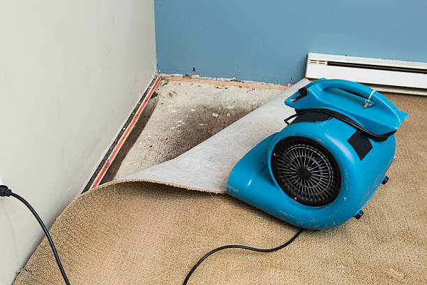 Best Local water damage restoration  in Newman, CA